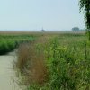 Tour 5: Krumminer Wieck